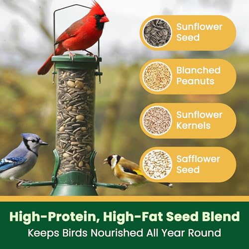 Happy Wings No Grow Bird Seed Mix 5lb - Songbird Bird Seed with Sunflower, Safflower & Peanuts - No Mess Birds - view 5