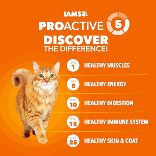 IAMS Proactive Health Adult Healthy Dry Cat Food with Real Salmon, 7 lb. Bag - view 4