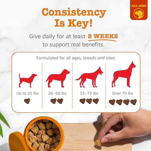 Zesty Paws Allergy Immune Bites - Dog Allergy Chews, Dog Probiotics for Itchy Skin and Ears, Peanut Butter, 90 - view 5