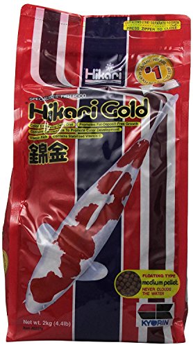 Hikari Usa Inc 02370 Gold 4.4 Lb, Medium - view 2