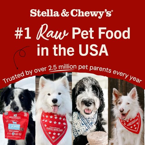 Stella & Chewy's Freeze-Dried Raw Chicken Heart Dog Treats - Single Ingredient, No Additives - Premium Trainin - view 7