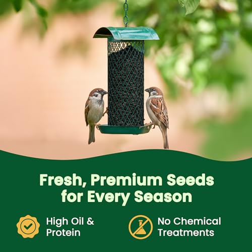 Happy Wings Black Oil Sunflower Seeds – 5 lb Wild Bird Food for Cardinals, Finches & Chickadees – High-Energy  - view 7