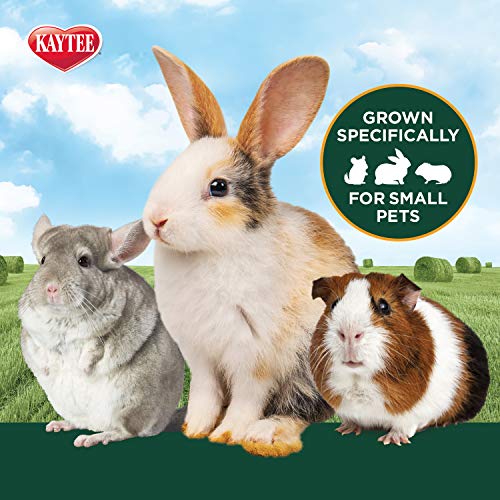 Kaytee Timothy Hearty Hay for Guinea Pigs, Rabbits & Other Small Animals, 48 oz - view 7