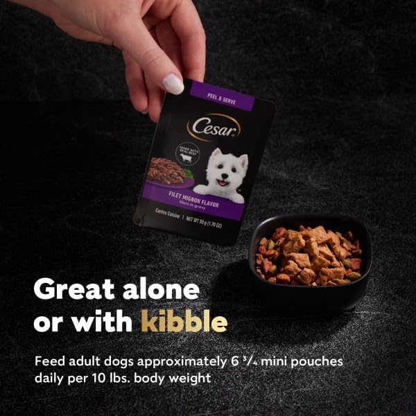 Cesar Filets in Gravy Wet Dog Food Rotisserie Chicken Flavor, Filet Mignon Flavor, and Wood-Grilled Chicken Va - view 5