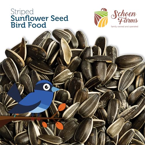 Schoen Farms Striped Sunflower Seeds – Hulled Wild Bird Food – 3 lb Bag – Clean, No-Mess Bird Seed for Finches - view 5
