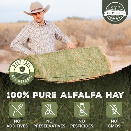 9lb Farm Fresh, USA Grown, Organic Alfalfa Hay for Rabbits, Guinea Pigs, Chinchillas, Goats, Hamsters & Ferret - view 5