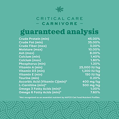 Oxbow Critical Care Carnivore, Made with Whole Egg & Dried Chicken, Assist Feeding Formula for Carnivores, Cat - view 6