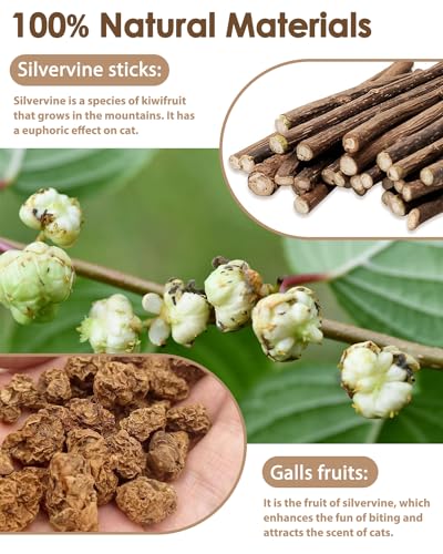 Tocirelo Silvervine Sticks Cat Toys - 6Pack Natural Cat Chew Toy Teeth Cleaning, Matatabi Dental Care Kitten T - view 2