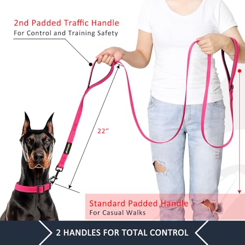 Plutus Pet Double Handle Dog Leash 6ft Long, Padded 2 Handle, Heavy Duty, Reflective Training Leash for Medium - view 3