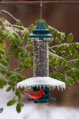 Weather Guard for Squirrel Buster Plus Bird Feeder (FEEDER NOT INCLUDED) - view 3