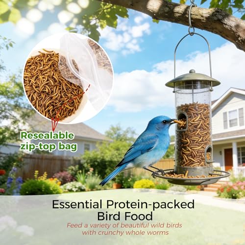 RANZ 2LBS Non-GMO Dried Mealworms for Chickens, High Protein Meal Worms, Premium Chicken Feed, Whole Large Mea - view 6