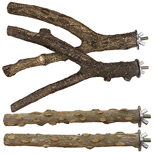 Bird Perch 4 PCS Natural Wood Stand Parakeet Toys Bird Cage Accessories for Parrots Conure Supplies Budgie Pla - view 2