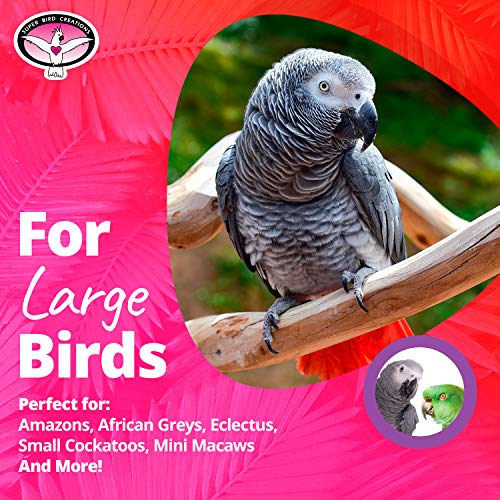 Super Bird Creations SB1107 Bagel Cascade Bird Toy, Large Bird Size, Refillable Bagels, 15” x 4.5” - view 4