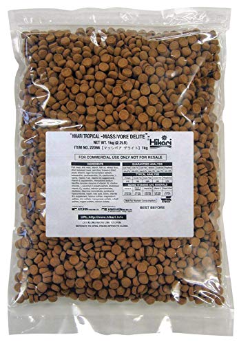 Hikari Usa Inc AHK22066 Massivore Delite 2.2-Pound - view 2
