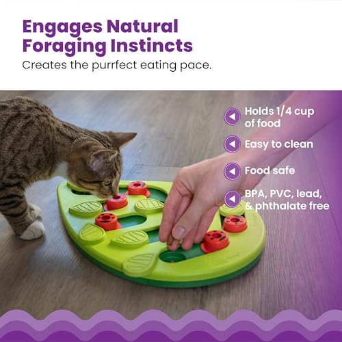 Catstages Nina Ottosson Buggin’ Out Puzzle & Play Cat Puzzle Feeder – Interactive Treat Game for Indoor Cats,  - view 5