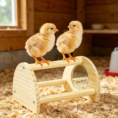 Pine Chicken Perch with Mirror, Strong Chick Jungle Gym Roosting Bar, Chicken Toys for Coop and Brooder, Train - view 4