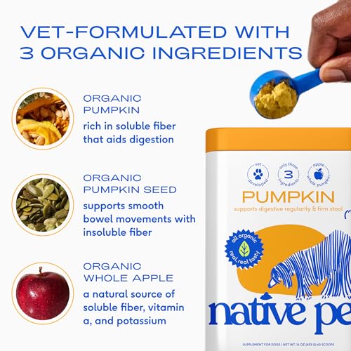 Native Pet Pumpkin for Dogs - Organic Dog Food Topper Powder - Promotes Firm Stools, Supports Digestive, Bowel - view 4