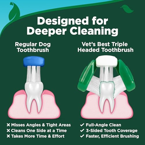 Vet's Best Dog Toothpaste & Dog Toothbrush, Dental Kit, Plaque Remover for Teeth, Whitens Teeth, Freshens Cani - view 3
