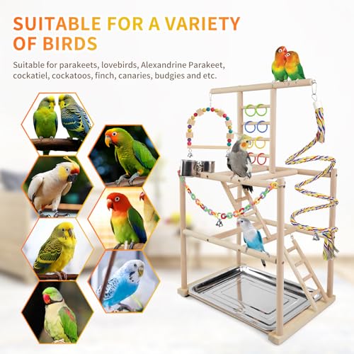 Bird Playground, Parrots Playstand for Small to Medium Birds, Perch Stand with 3 Ladders Playgym with Rope Per - view 6