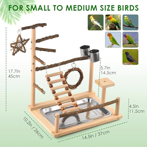 KATUMO Bird Playground - Natural Wooden Perches Parakeet Ladder Conure Swing Bird Cage Accessories with Remova - view 6