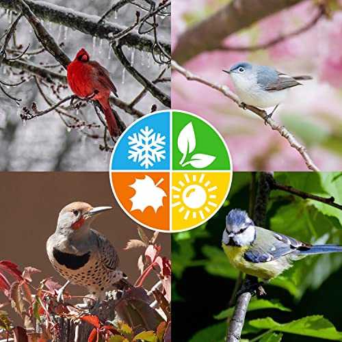 Blue Seal Suet Treat Bars for Wild Birds - No Mess Suet Feed, Food for Woodpeckers, Cardinals, Siskins, Sparro - view 4