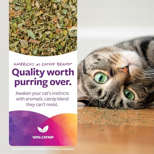 SmartyKat Natural Catnip Canister, 100% Natural Cat Nip for Cats, Premium Dried Catnip for Indoor Cats, Positi - view 4