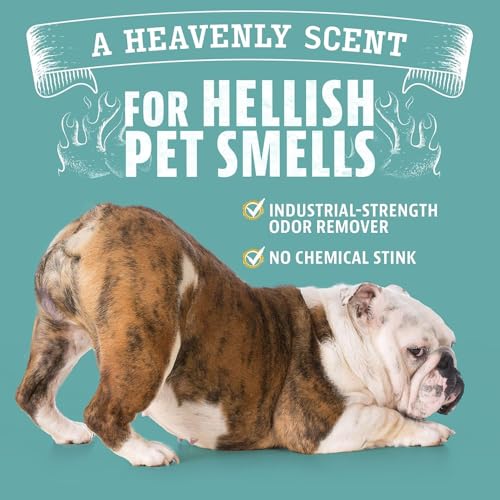 ANGRY ORANGE Pet Odor Eliminator for Dog and Cat Urine, Carpet Stains, and Strong Smells – Citrus Cleaner with - view 4