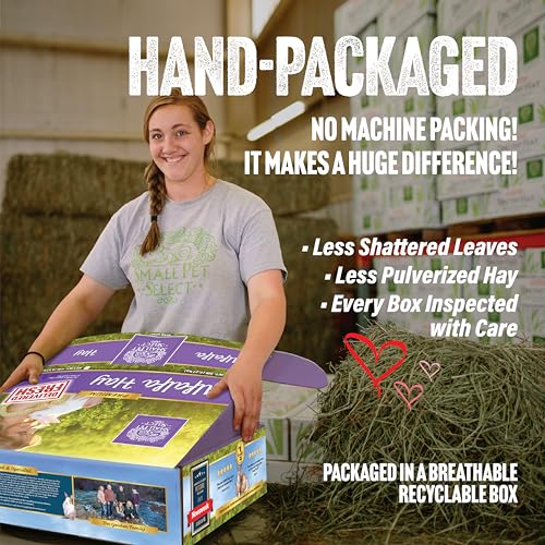 Small Pet Select Alfalfa Hay Pet Food for Young Rabbits, Guinea Pigs, Chinchillas, Tortoises and Other Small A - view 4