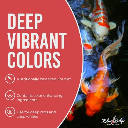 Blue Ridge Koi Fish Food 14lb - Koi Food 3/16” Platinum Pro Formula Goldfish Food, Premium Fish Food for Ponds - view 6