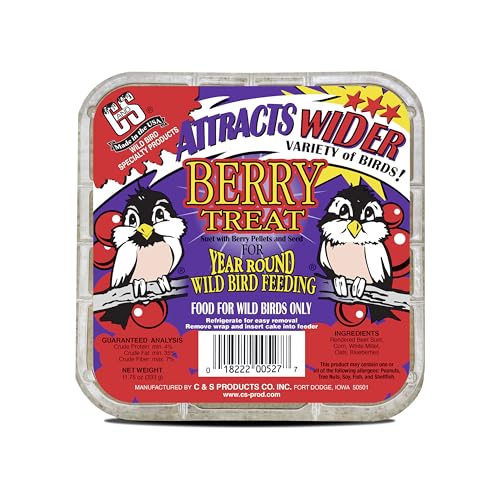 C&S Berry Suet Treat, Wild Bird Food for Robins, Blue Jays, Bluebirds, Tanagers, Thrushes and More, 8 Pack - view 2