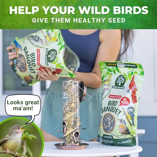 Nature Anywhere Bird Seed Bird Banquet Bird Seed for Outside Feeders, Wild Bird Seed, Bird Food, No Fillers, M - view 6