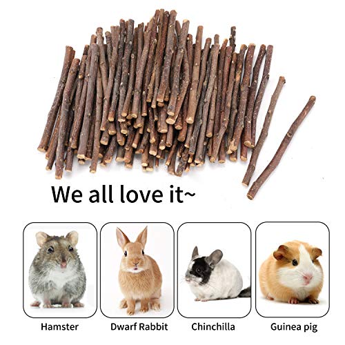 Natural Apple Sticks, 500g Treats Food for Small Animals, Chew Toys for Chinchilla Guinea Pigs Rabbit Squirrel - view 6