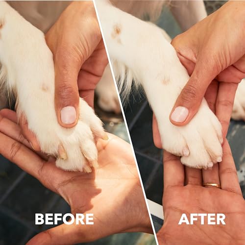 Dremel PawControl 7760-PET Dog Nail Grinder and Trimmer - Cordless & Rechargeable Pet Grooming Tool Kit - Safe - view 5