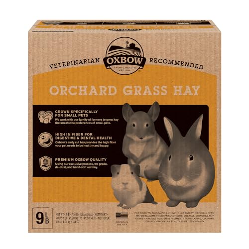 Oxbow Animal Health Orchard Grass, Guinea Pig Hay, Rabbit Hay, Small Pet Bunny Supplies, All Natural Grass for - view 2