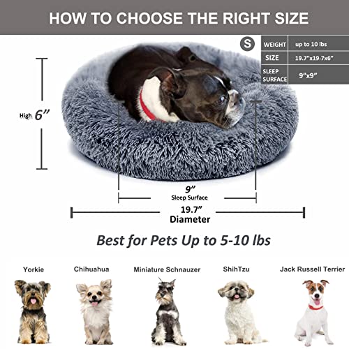 Small Calming Dogs Bed for Small Dogs Anti-Anxiety Machine Washable Fluffy Luxury Anti-Slip Waterproof Mute Ba - view 5