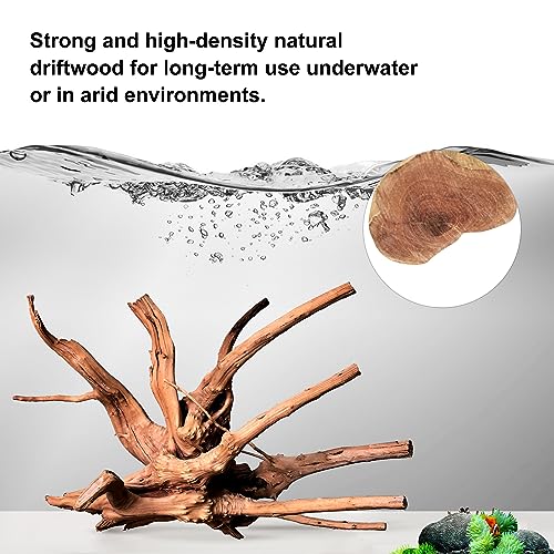 majoywoo Natural Driftwood for Aquarium Decor Fish Tank Decorations, Assorted Spider Wood Branch 7-11" 3 Pcs,  - view 4