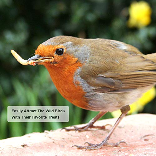 20lbs Mealworms, High-Protein Dried Mealworms for Birds, Chickens, Turtles, Fish, Hamsters and Hedgehogs, Non- - view 5