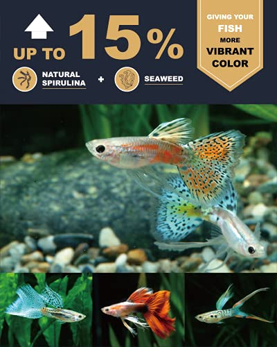 Ultra Fresh Royal Guppy Mignon Pellet, All Natural Guppy Food, Sword Prawns, Spirulina, Seaweeds, Highly Nutri - view 5