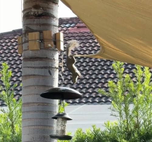 13" Bird Feeder Rain Guard, Hummingbird Feeders Shade Dome Cover, Hanging Baffle for Bird Feeder Pole,Smart Bi - view 3