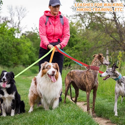 12 Pcs Dog Leashes for Small Medium Large Dogs, 6FT Lead Short Dog Leash with Swivel Hook for Walking, Trainin - view 5