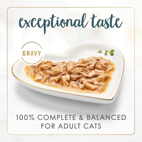Purina Fancy Feast Gravy Lovers Turkey Feast Grilled Gourmet Cat Food in Wet Cat Food Gravy - (Pack of 24) 3 o - view 3