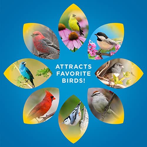 Audubon Park Songbird Blend Wild Bird Food, Bird Food for Outside Feeders, 14-Pound Bag - view 7