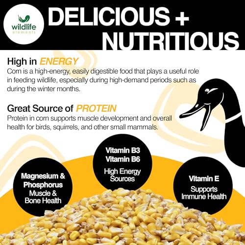 Wildlife Elements Critter Corn, Natural Whole Shelled Corn for Wildlife, 44lb Bag – High-Energy Feed for Deer, - view 5