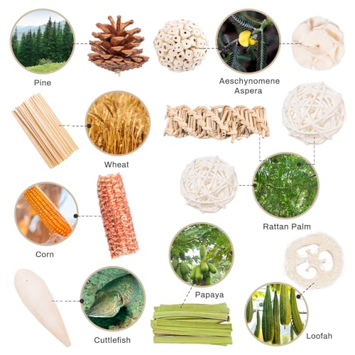 40 Pcs Bird Parrot Toys, Natural Bird Foraging Toy for Cockatiels, Lovebirds, Budgies, Small to Medium Parrot - view 5
