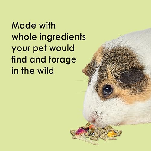 Kaytee Food from The Wild Natural Pet Guinea Pig Food, 4 Pound - view 4
