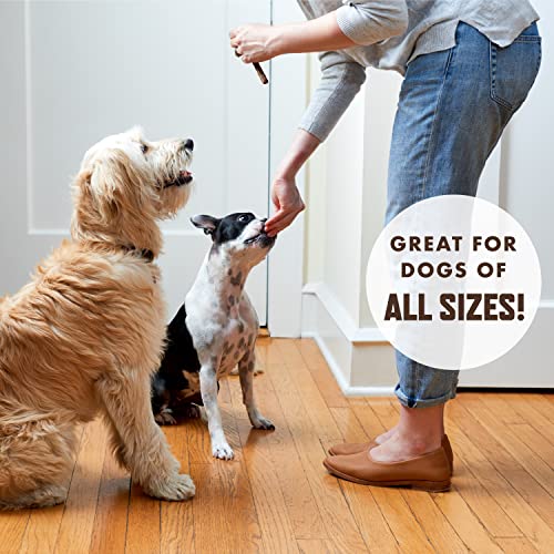 Rocco & Roxie Beef Jerky Dog Treats 1 lb | Soft Training Snacks Made in USA | High Value Beef Jerky for Dogs,  - view 6