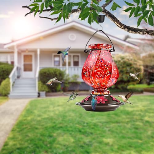 BOLITE Hummingbird Feeder, Hand Blown Glass Hummingbird Feeders for Outdoors Hanging with Ant Moat, 5 Bee-Proo - view 3