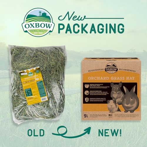 Oxbow Animal Health Orchard Grass, Guinea Pig Hay, Rabbit Hay, Small Pet Bunny Supplies, All Natural Grass for - view 4