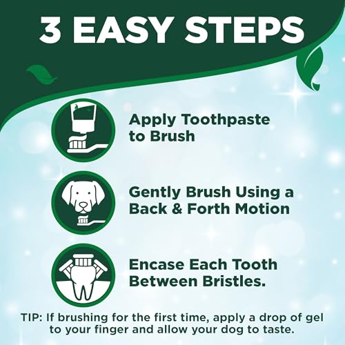 Vet's Best Dog Toothpaste & Dog Toothbrush, Dental Kit, Plaque Remover for Teeth, Whitens Teeth, Freshens Cani - view 5