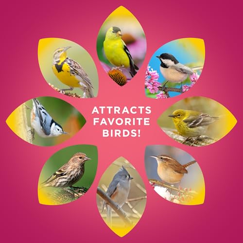 Audubon Park Sunflower Hearts Wild Bird Seed for Outside Feeders, 15-lb. Bag - view 7